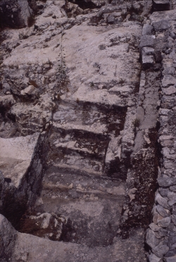 Miqweh steps adjacent to Har ha-Bayit